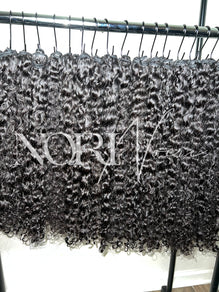 Burmese Curly